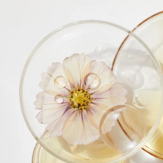 The Science Behind Modern Plant Actives: Natural Skincare That Really Works